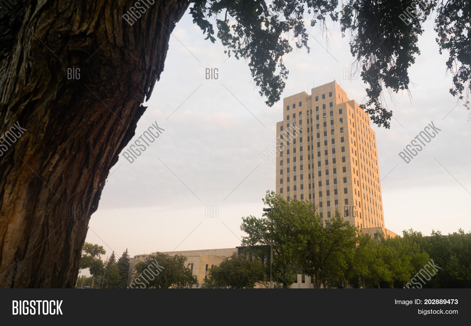 Image Preview