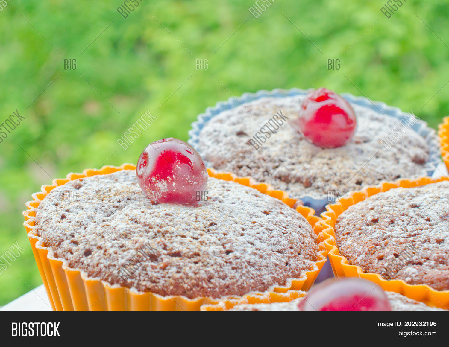 Image Preview