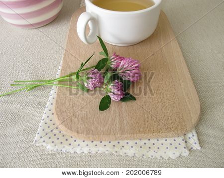 Cup of herbal tea with red clover