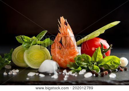 Shrimp Prawn Serving With Leek, Basil, Ice Against Black Background. Seefood Diet Concept. Healthy F