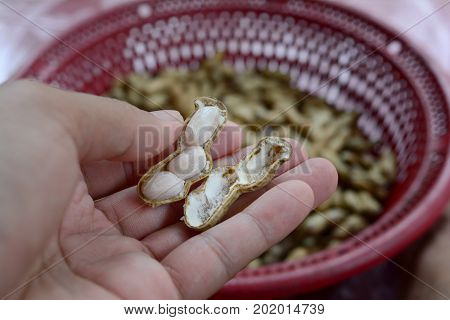 peanut peeledpeanuts boiled with salt good for health
