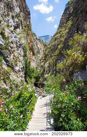 Beautiful Landscape Of Sapadere Canyon In Turkey