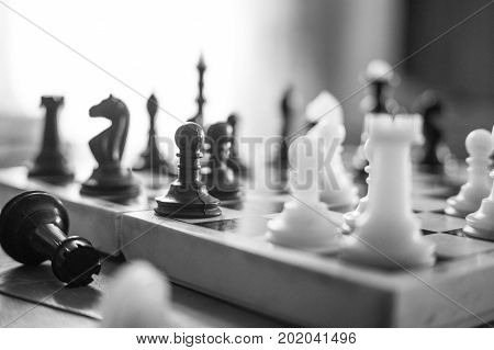 Chess Knights Head To Head.