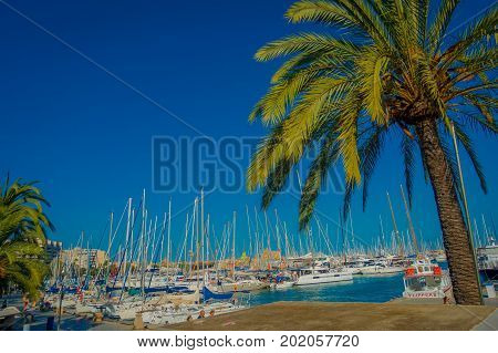 PALMA DE MALLORCA, SPAIN - AUGUST 18 2017: Beautiful harbor view with white yachts and some palm trees, in Palma de Mallorca, Balearic islands, Spain.