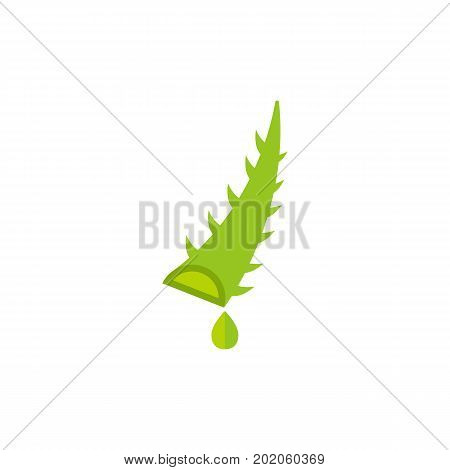 Vector icon of aloe vera leaf. Flower, juice, scent. House plants concept. Can be used for topics like pharmacy, health, botany