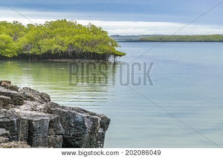 Seascape At Santa Cruz Island, Galapagos, Ecuador
