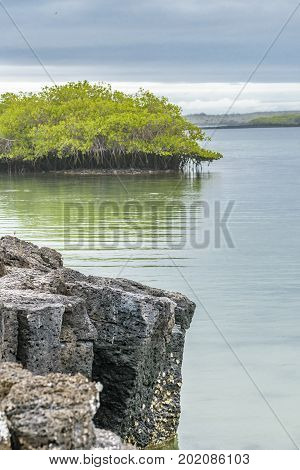Seascape At Santa Cruz Island, Galapagos, Ecuador