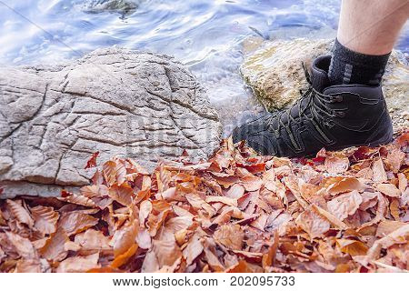 Leg of a man wearing adequate footwear for walking on trails with rocks water and fallen autumn leaves. A concept for hiking and traveling.