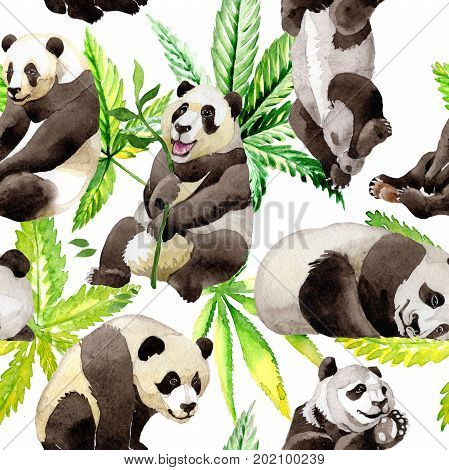 Panda wild animal pattern in a watercolor style. Full name of the animal: panda. Aquarelle wild animal for background, texture, wrapper pattern or tattoo.