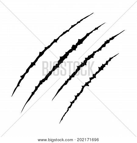 Hand drawn Animal's claws scratch scrape track Cat tiger scratches paw shape Four nails trace illustration vector isolated flat design.
