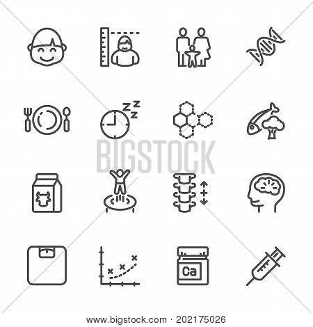 Genetic, Nutrition, Exercise, Lifestyle Factors Affecting Kid's Height And Bone Growth. Vector Line 