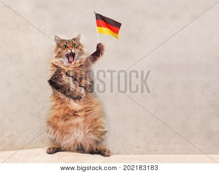 The Big Shaggy Cat Is Very Funny Standing.flag