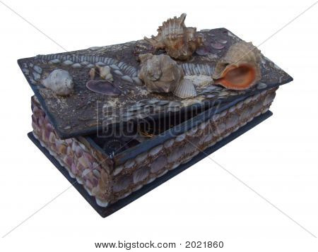 kleines Feld von marine kleinen Muscheln