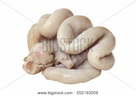 Chitterlings internal organs of pig isolated on white background