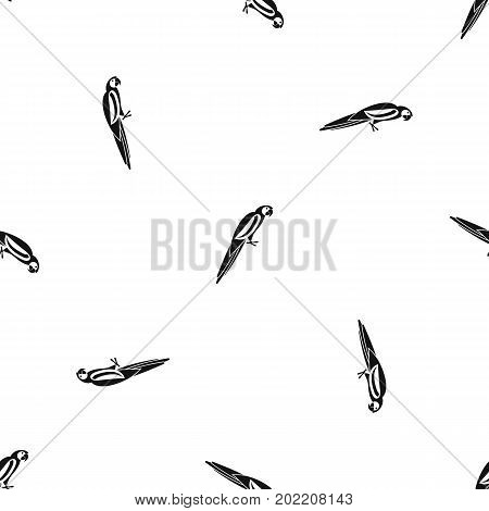 Parrot pattern repeat seamless in black color for any design. Vector geometric illustration
