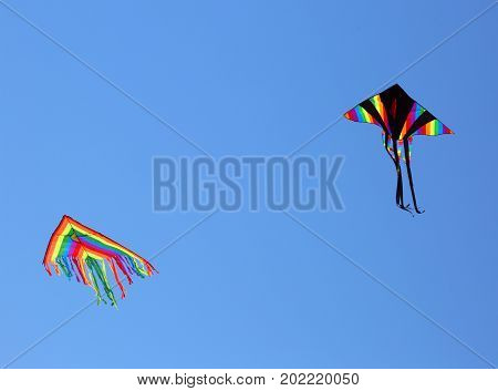 Two Huge Kites Fly In The Blue Sky In The Summer