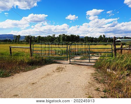 Green metal fence for a simple fence by a prairie. There is a dirt road by the praire and a clear blue sky overhead with white puffy clouds.