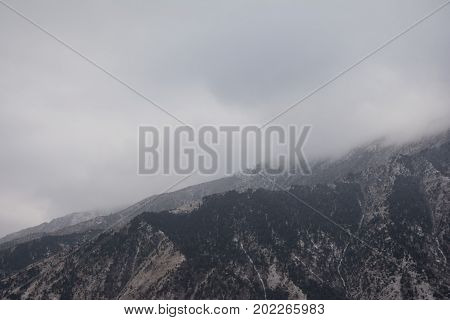 Mountains covered with snow. View of the mountain slopes covered with fir-trees. Mountains and forests on the sky background