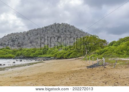 El Garrapatero Beach, Galapagos, Ecuador