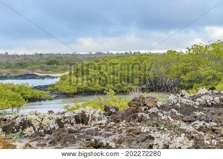 El Garrapatero Beach, Galapagos, Ecuador