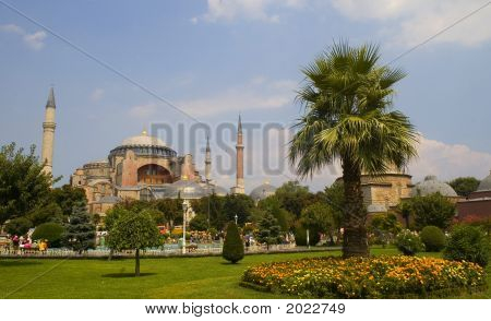 Aya Sophia