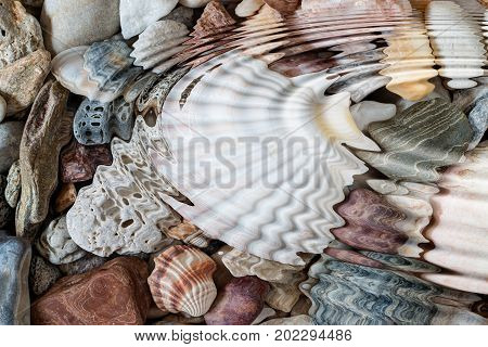 Detail of the water ripples above pebbles and seashells - digitally altered