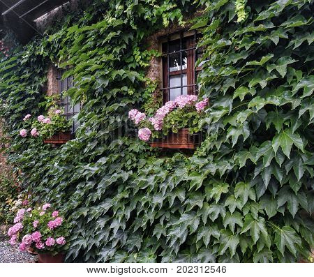 Rivalta Trebbia (Piacenza Emilia Romagna Italy): the historic castle