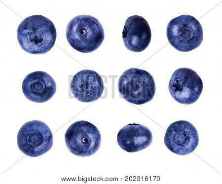 Stack of blueberries isolated on white with clipping path