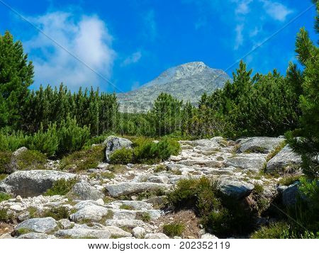 Mountain trail in High Tatras mountains in Slovakia on a sunny summer day and the mountain peak called Krivan.