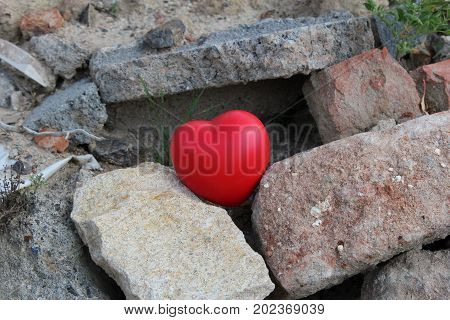 Red heart on disposal brash/ This is red heart on disposal brash.