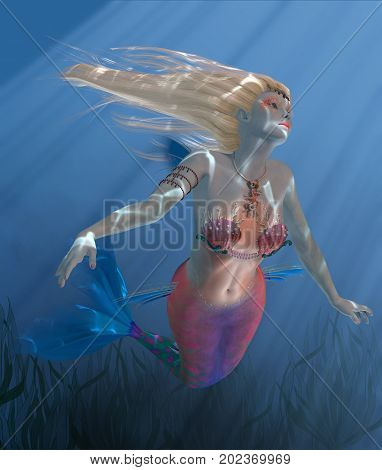 Mermaid Coral 3d illustration - Sunbeams shine down through clear ocean waters as Mermaid Coral swims above a kelp bed.
