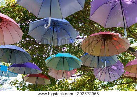 Colorful Or Multicolored Umbrella Hanging On The Tree In A Sunny Day.  Tree Or Streen Decoration, Ba