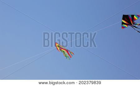 Two Huge Kites Fly In The Blue Sky In The Summer