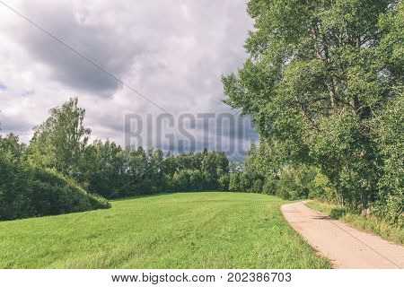 Country Road In Forest - Vintage Effect