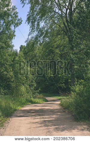 Country Road In Forest - Vintage Effect