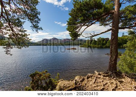 Lake Derwent Water And Cruise Boat View From Its Shoreline, Keswick, Cumbria, Uk