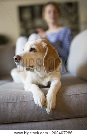 A woman sitting on the couch take some good time