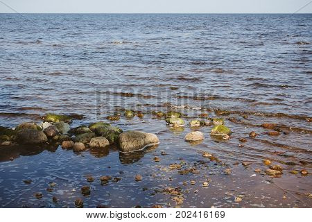 Nature By Lake Peipus, Estonia, The 5Th Largest Lake In Europe