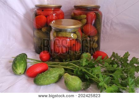 ripe colorful  vegetables in to glass box for conserved