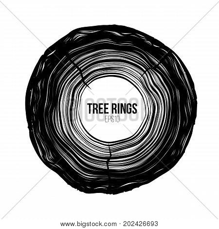 Vector tree rings slice with crack. Annual life texture. Woodgrain pattern backround