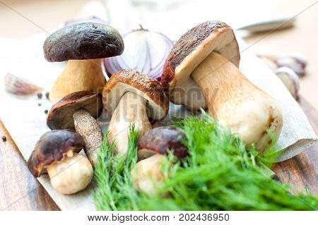 Ready for cooking soup with delicious porcini mushrooms on wooden background. Boletus Edulis (var. Aereus). Multicolored indoors horizontal still life image.