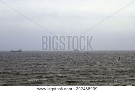 grey sky with two ships, kite surfer and waves in the sea, Denmark