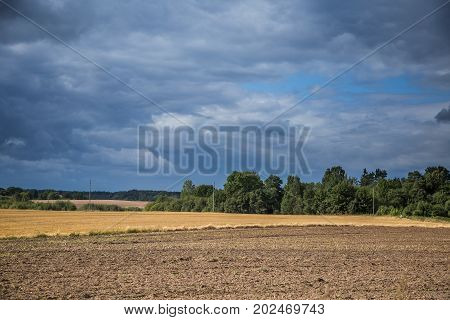 A beautiful country landscape with a wheat fields streching into distance. Inspiring rural scenery at the end of summer.
