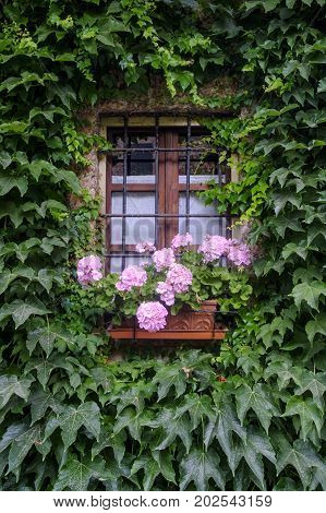 Rivalta Trebbia (Piacenza Emilia Romagna Italy): the historic castle a window with flowers