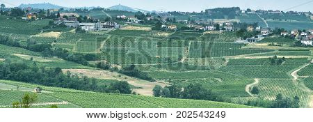 Rural landscape at summertime along the road from Vicobarone (Piacenza Emilia Romagna Italy) to Santa Maria della Versa (Pavia Lombardy) in the Tidone valley. Vineyards.