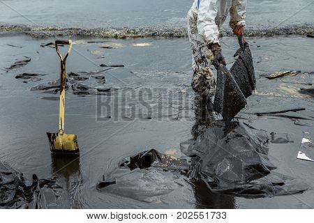 Workers remove and clean up crude oil spilled with absorbent paper from Prao Bay on July 31 2013 in Samet Island Rayong Thailand