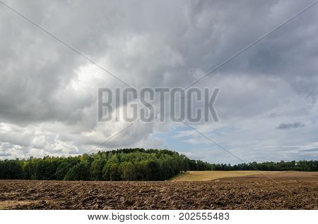 LANDSCAPE - cloudy sky over fields and forests
