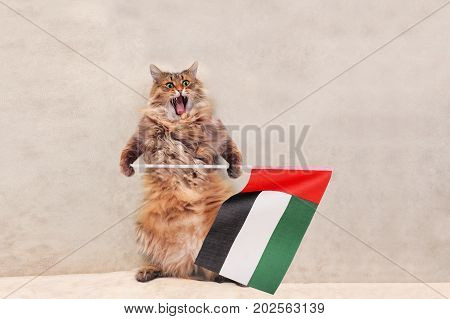 The Big Shaggy Cat Is Very Funny Standing.flag