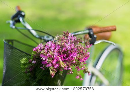leisure and summer concept - close up of fixie bicycle with flowers in basket outdoors