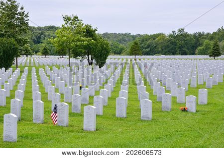 A Small American Flag Honors The Gravesite Of A World War Ii Veterans.